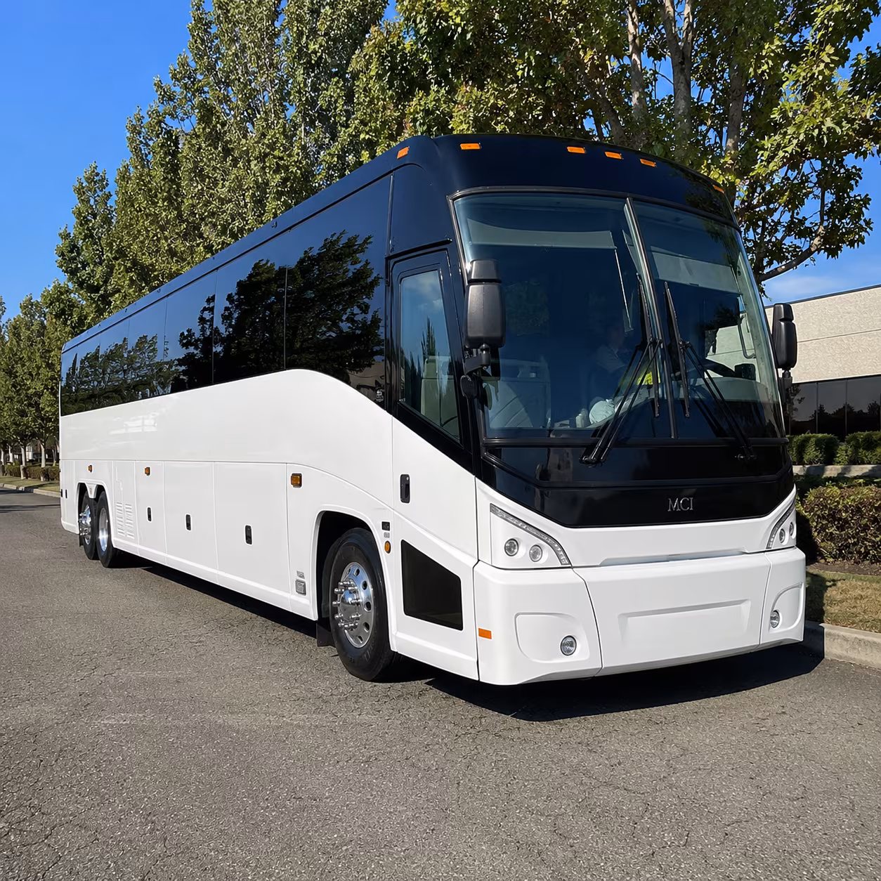 el cajon 50 passenger charter bus