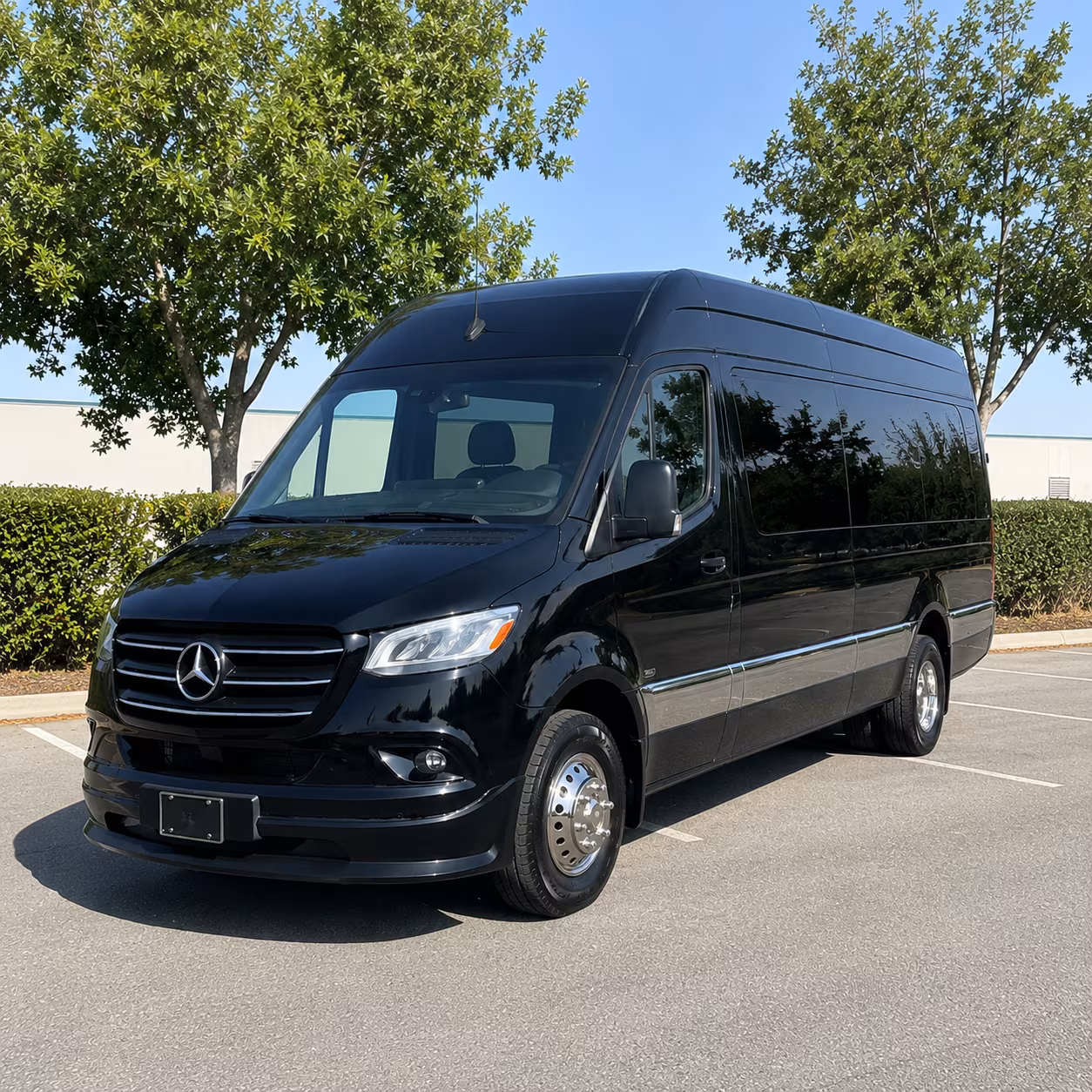 el cajon sprinter van with driver